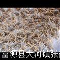新疆蝎子养殖技术