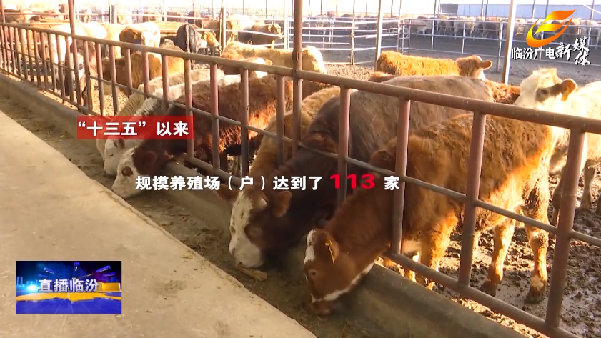 致富养殖业_致富养殖信息_翼城养殖致富