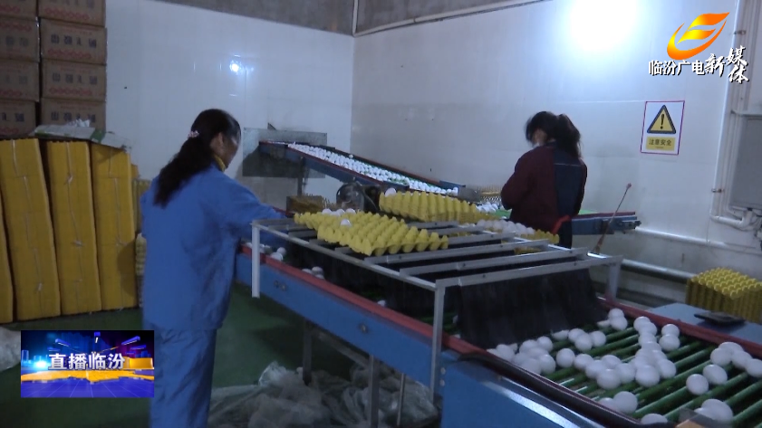 致富养殖业_翼城养殖致富_致富养殖信息