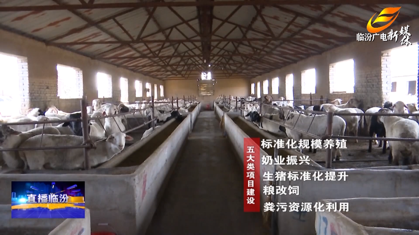 致富养殖业_翼城养殖致富_致富养殖信息
