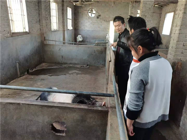 湖南省平江县上塔市镇：发展特色养殖 铺就致富之路