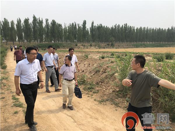 养殖孔雀能赚钱吗_孔雀养殖100只利润_养殖孔雀致富能人