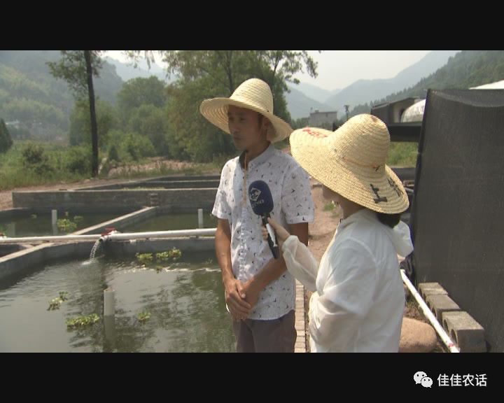 小溪石斑鱼养殖建设_小溪石斑鱼养殖技术和环境_小溪石斑鱼养殖技术