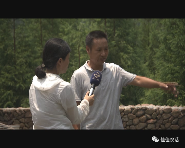 小溪石斑鱼养殖建设_小溪石斑鱼养殖技术_小溪石斑鱼养殖技术和环境