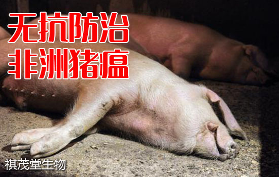 野猪养殖技术教材_野猪养殖视频_野猪养殖技术视频