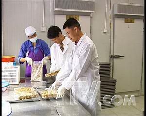致富经蜗牛养殖视频_致富蜗牛养殖方法_致富经养殖蜗牛致富
