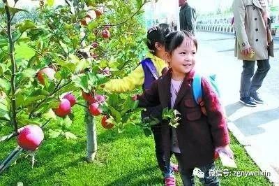 20个最有前景的农业赚钱致富项目机会,你能抓住吗?