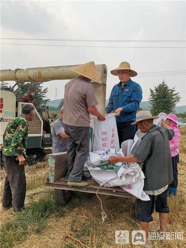 视频致富种植宝怎么下载_农业节目致富经种植视频_致富宝种植视频