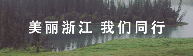 海岛上的致富羊_海岛养殖致富项目_海岛致富经小说