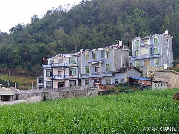 竹荪的价钱_竹荪  致富经_竹荪经济效益