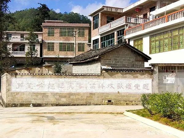 竹荪经济效益_竹荪的价钱_竹荪  致富经