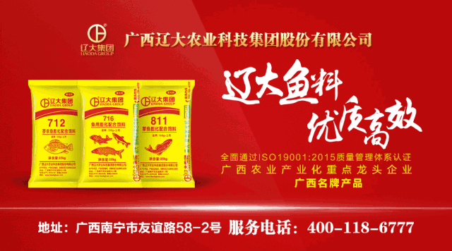 优质泥鳅全套养殖技术_养殖泥鳅视频全过程_全套养殖泥鳅优质技术