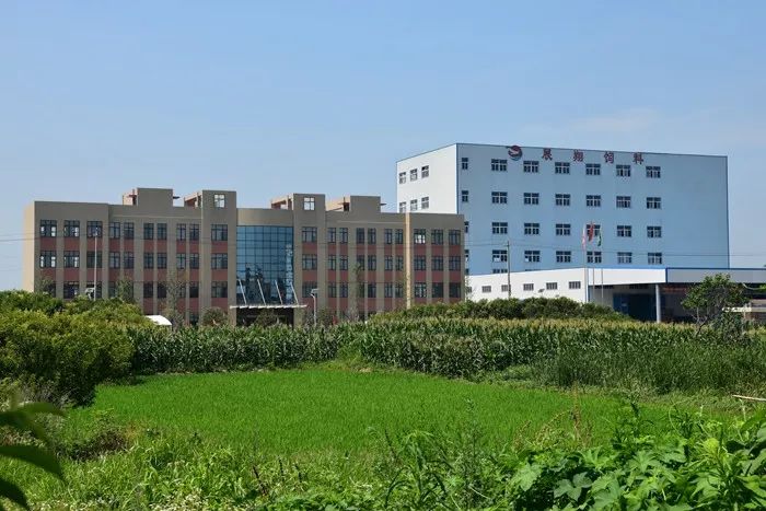 养殖泥鳅视频全过程_全套养殖泥鳅优质技术_优质泥鳅全套养殖技术