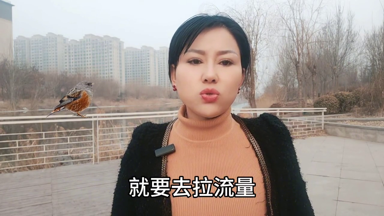 视频的经验_15天优质经验分享视频_经验分享视频创作