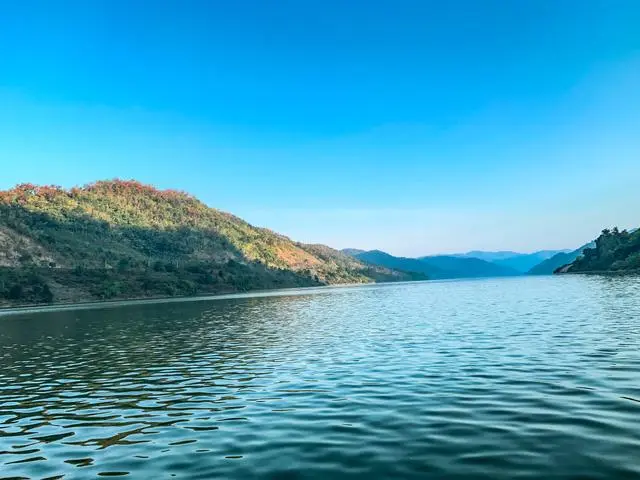 鸭嘴鱼的养殖，需要什么条件要求？
