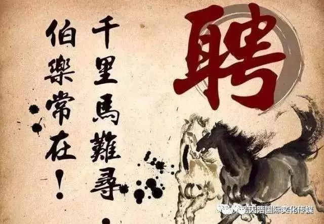 南石龟苗养殖技术_2021年南石龟苗价格_南石种龟