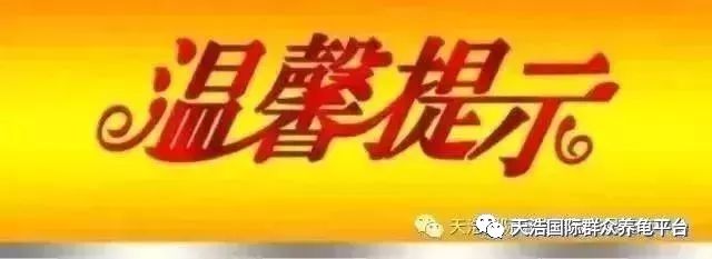 南石种龟_2021年南石龟苗价格_南石龟苗养殖技术