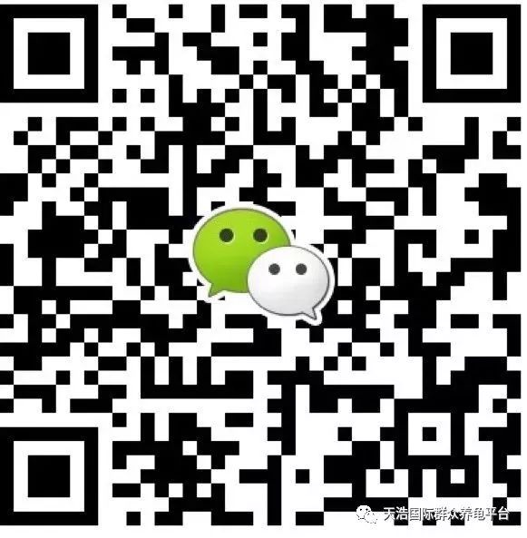 2021年南石龟苗价格_南石种龟_南石龟苗养殖技术