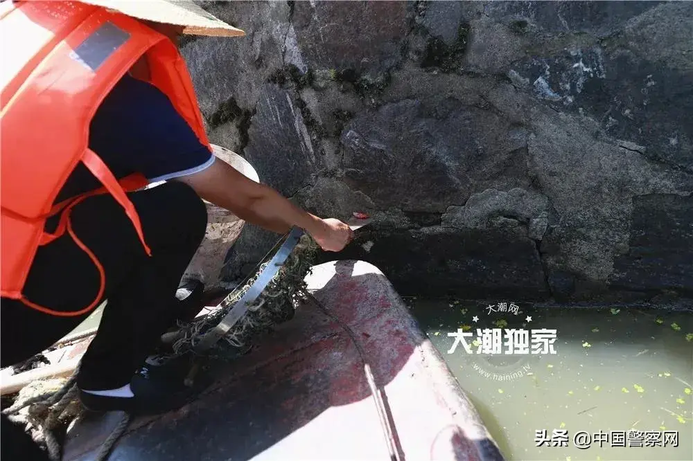 每日农经养黄鳝_每日农经致富经黄鳝6_致富经黄鳝养殖技术