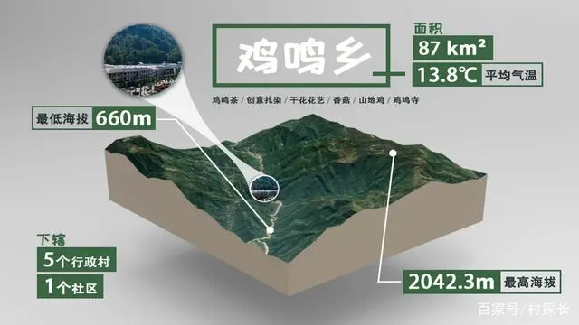 种植茶叶赚钱吗_致富茶叶种植家庭视频_家庭种植茶叶致富