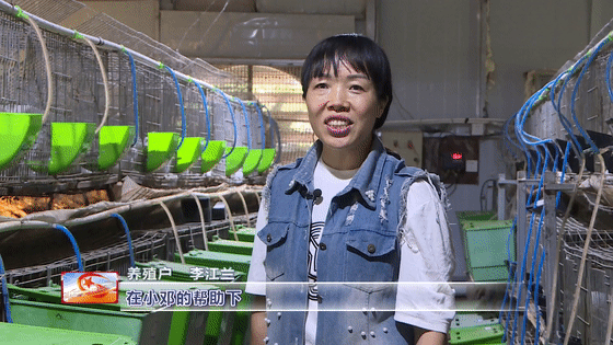 养殖肉兔的前景_肉兔养殖致富经_养殖肉兔效益怎么样