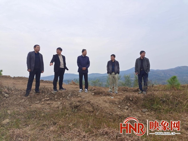 种植致富新项目_农业节目致富经种植视频_科学种植唱响致富经