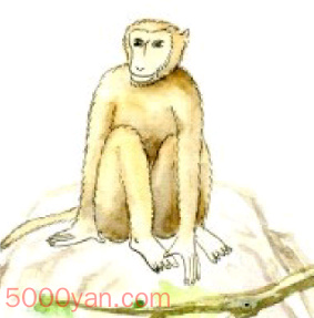 致富经那期讲白玉鸟_养殖白玉鸟有多少利润_致富经玉鸟养殖视频