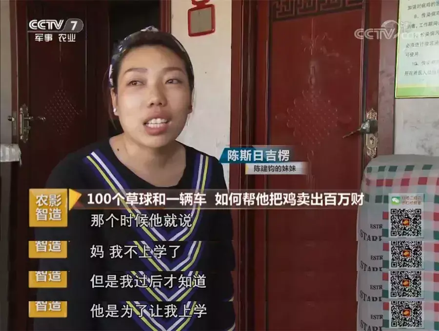 致富经2020年石鸡全集_致富经养鸡2019_致富经2020年全集视频养鸡