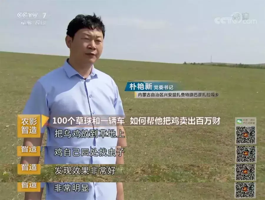 致富经养鸡2019_致富经2020年石鸡全集_致富经2020年全集视频养鸡