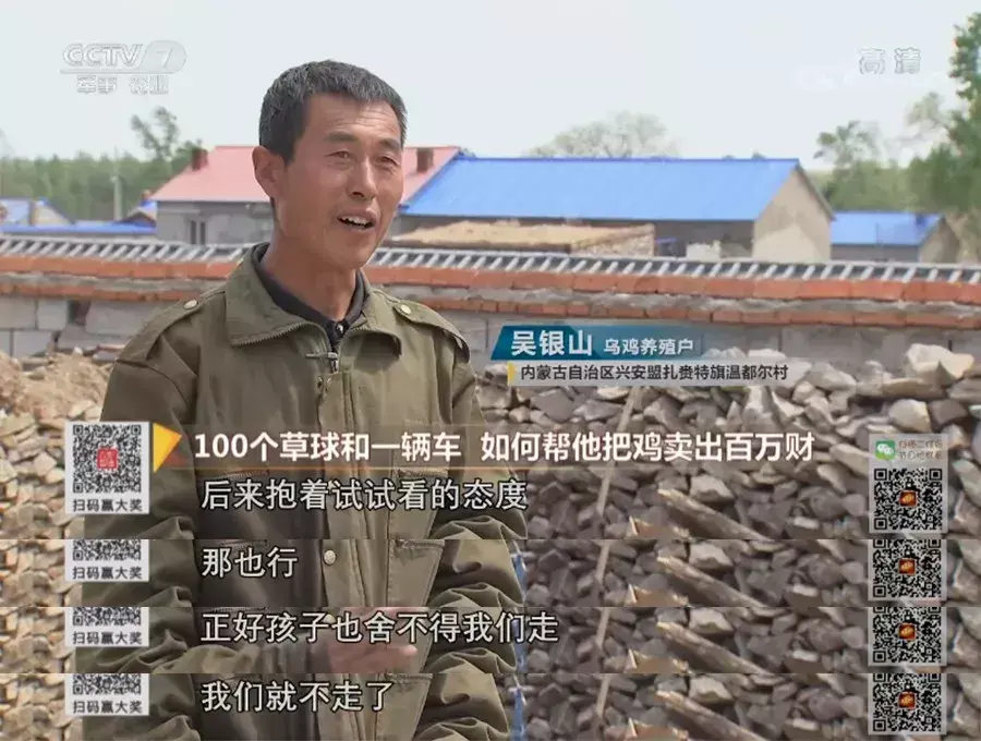 致富经养鸡2019_致富经2020年全集视频养鸡_致富经2020年石鸡全集