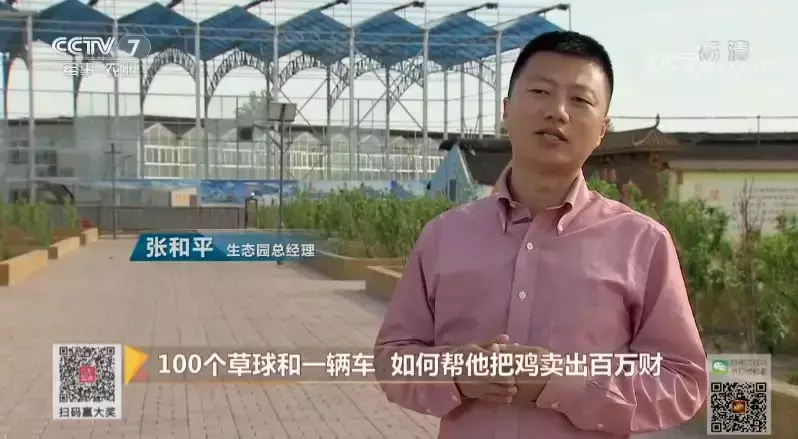 致富经2020年全集视频养鸡_致富经2020年石鸡全集_致富经养鸡2019
