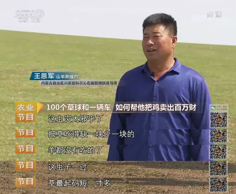 致富经2020年石鸡全集_致富经养鸡2019_致富经2020年全集视频养鸡