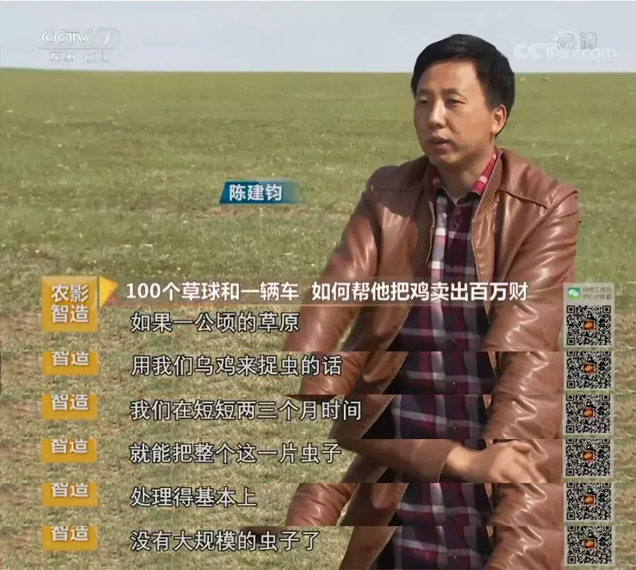 致富经2020年石鸡全集_致富经养鸡2019_致富经2020年全集视频养鸡