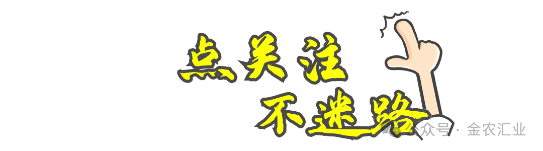 上海市农科院食用菌所攻克红托竹荪栽培技术难点