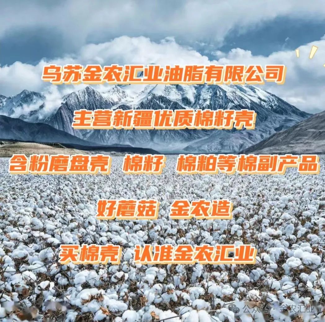 竹荪养殖技术教程_养殖教程竹荪技术图片_养竹荪怎么样