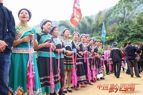 农村山地种植板栗有补贴吗_致富山地种植板栗视频_山地种植板栗致富