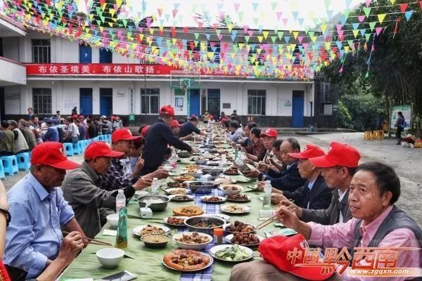 农村山地种植板栗有补贴吗_致富山地种植板栗视频_山地种植板栗致富