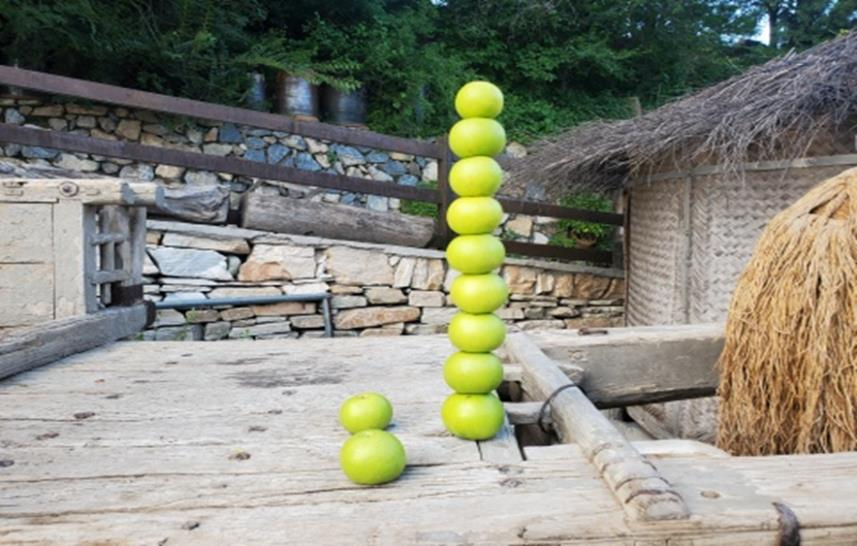 荒山种板栗_山地种植板栗致富_农村山地种植板栗有补贴吗