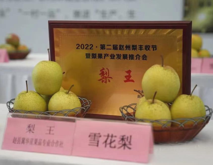 山地种植板栗致富_荒山种板栗_农村山地种植板栗有补贴吗