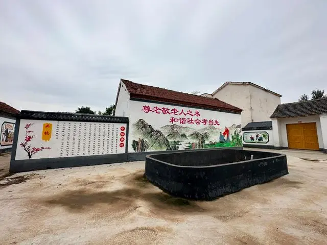 致富菊花种植方法_菊花种植成为村民致富_菊花种植致富经