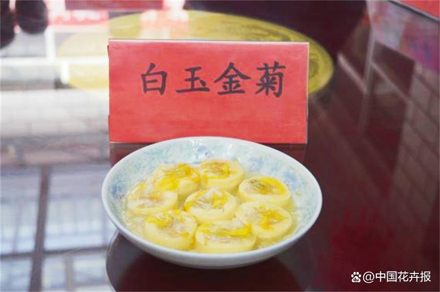 菊花种植前景和利润_致富经菊花种植视频_菊花种植致富经