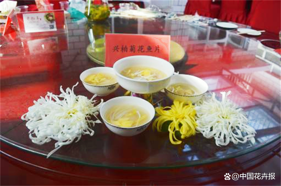 菊花种植致富经_菊花种植前景和利润_致富经菊花种植视频