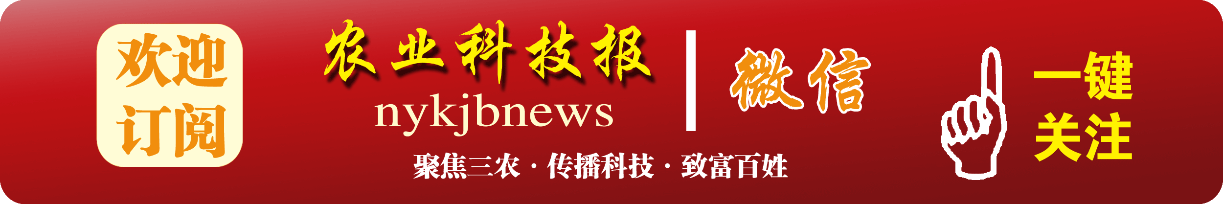 种植什么树致富快_种树致富全部视频_种植致富业