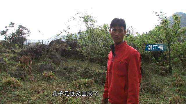 致富经.徐晓兰_致富经.徐晓兰_致富经.徐晓兰