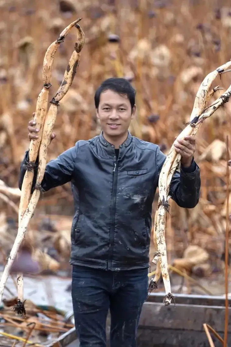 农村种植致富新项目_农村种植致富的东西_致富种植农村东西的句子