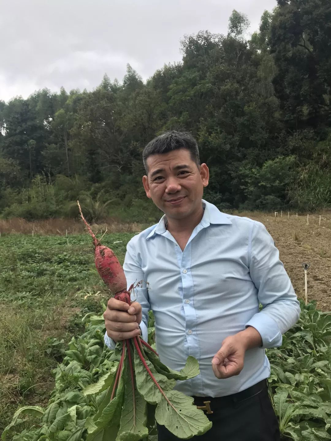 花生覆膜种植_薄膜种植花生致富_花生薄膜种植技术