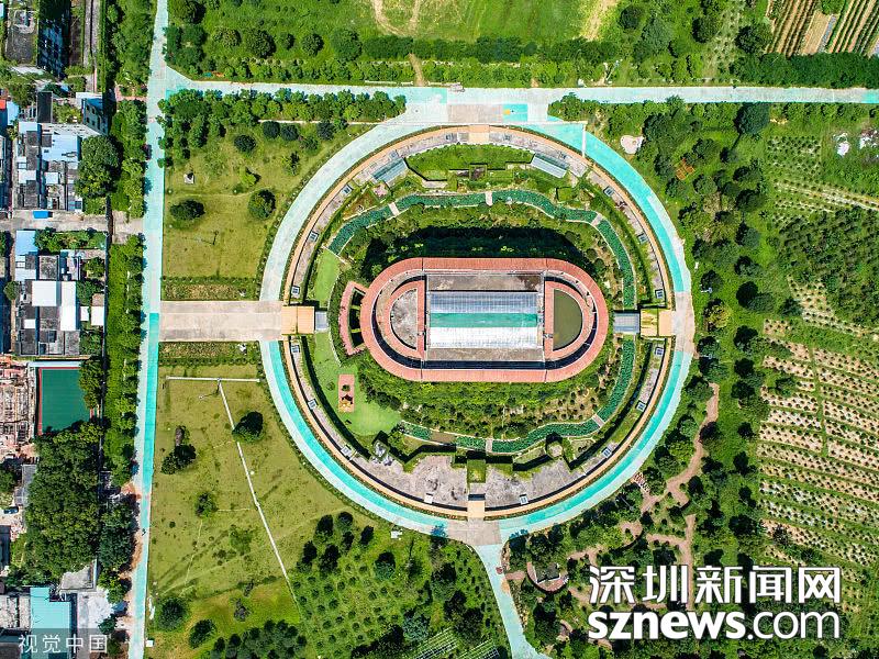 养龟致富经_致富经养龟赚钱_致富经养乌龟