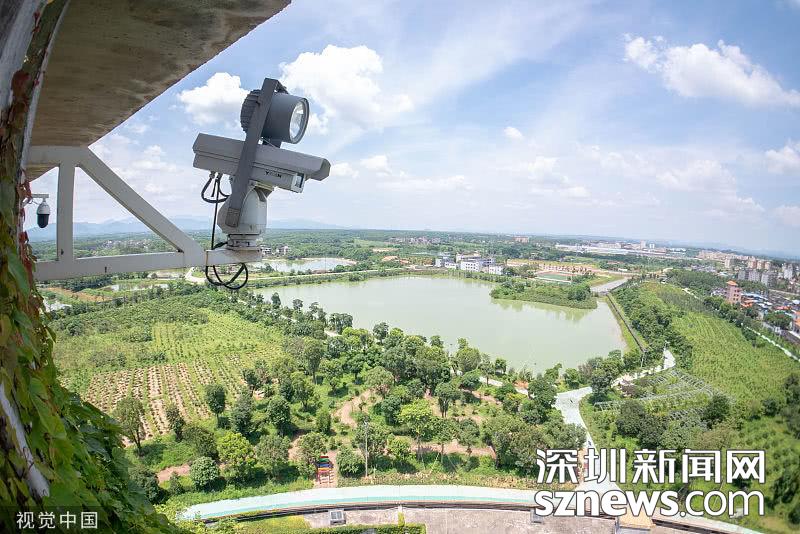 养龟致富经_致富经养乌龟_致富经养龟赚钱