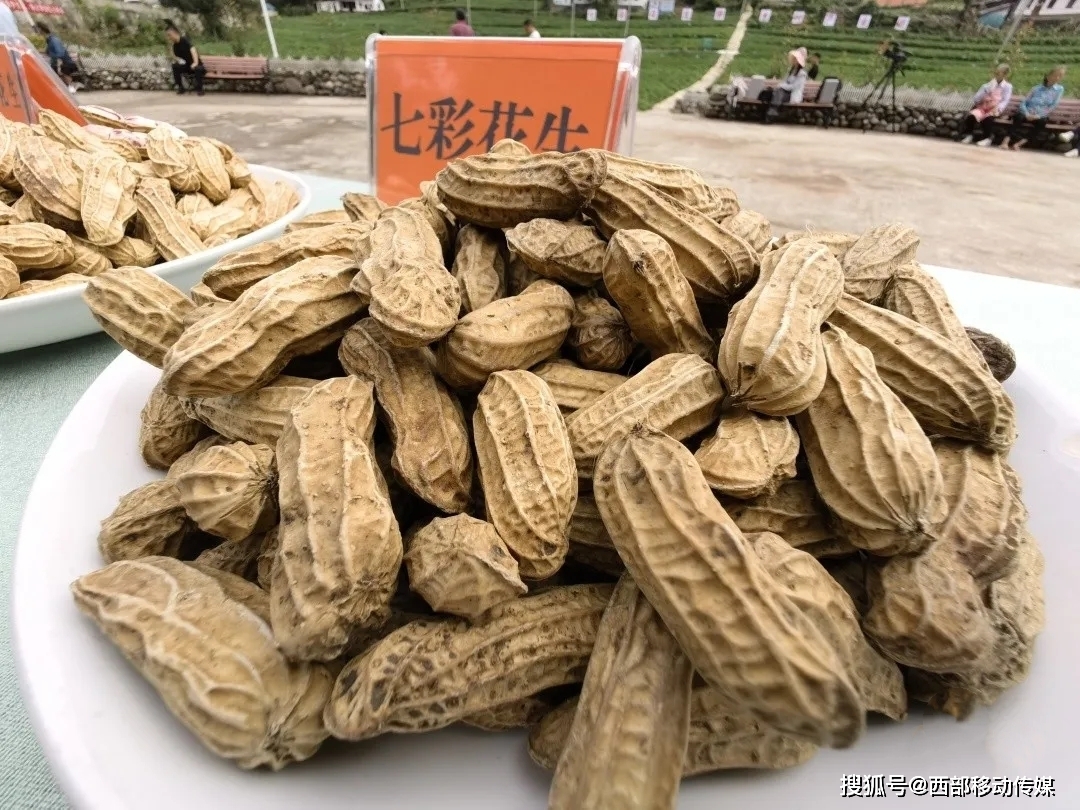 致富种植农村东西的句子_农村种植致富新项目_农村种植致富的东西