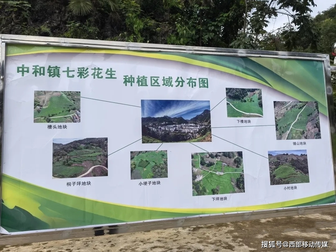农村种植致富新项目_农村种植致富的东西_致富种植农村东西的句子